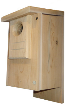 bluebird houses for sale