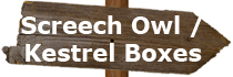 screech owl boxes